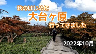 【週末さんぽ】秋はじめ大台ヶ原 シオカラ谷から東大台コースへ行ってきました/奈良県 三重県 2022年10月1～2日