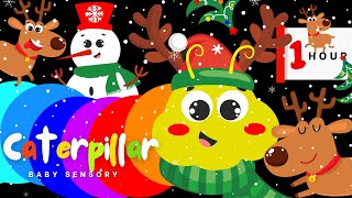 🌈 Rainbow Caterpillar, ☃️ Snowman \u0026 🎄 Christmas Reindeers: Winter Snow Party ❄️ | Baby Sensory Video