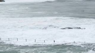 Dee Why Point rock off