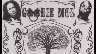 Goodie Mob - Black Ice Sky High Ft Outkast