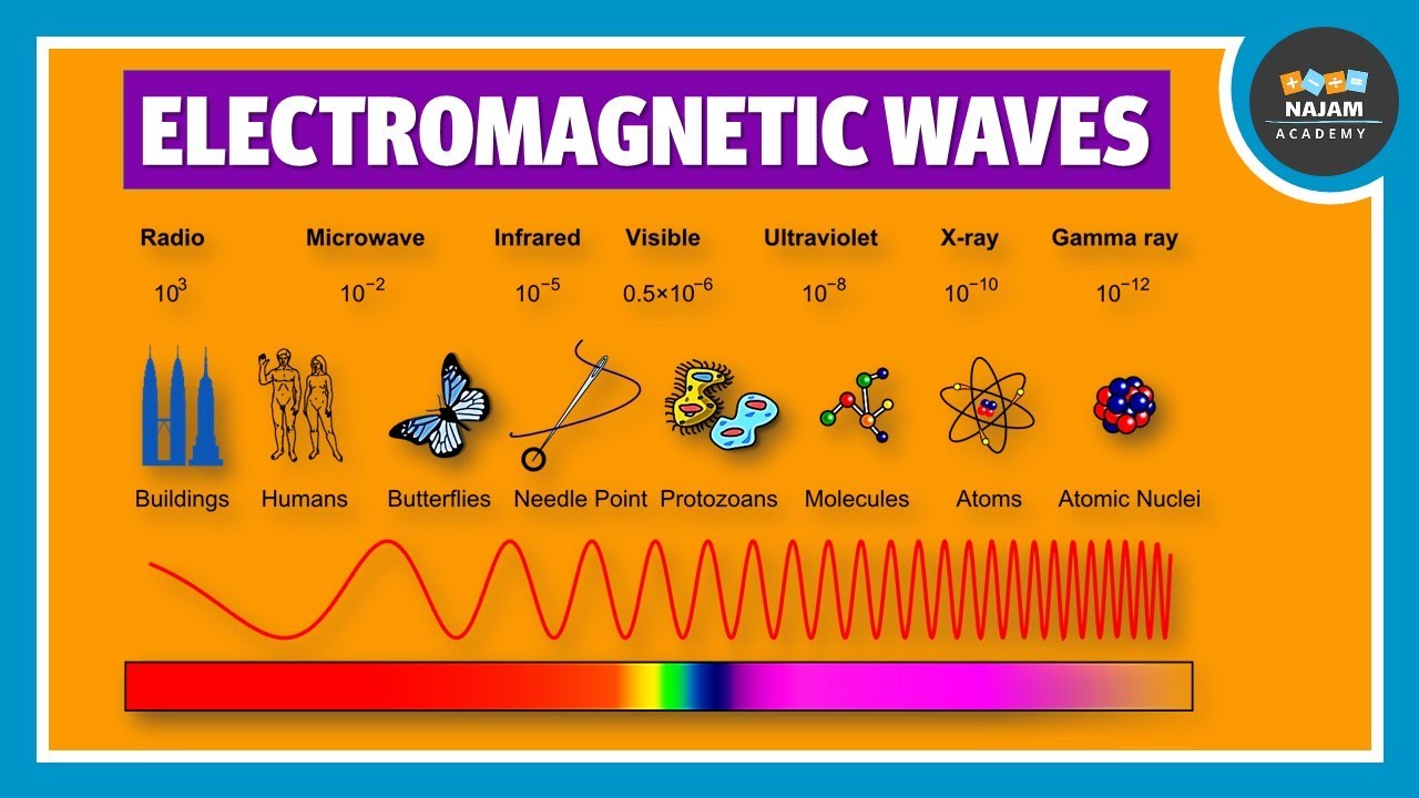 Electromagnetic Waves | Physics - YouTube