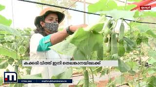 മണ്ണുത്തിയിലെ കുരുവില്ലാത്ത കക്കരി വിത്ത് തെലങ്കാനയിലേക്ക് | Mathrubhumi News