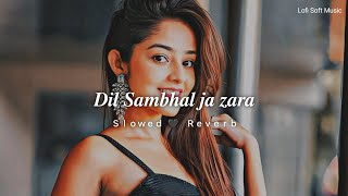 Dil Sambhal Ja Zara (Slowed+Reverb) Phir Mohabbat || Arijit Singh || lofi Song || Lofi Soft Music