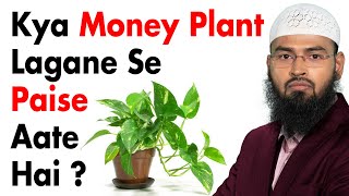 Money Plant Lagane Se Kya Paise Aate Aur Tawhaam Ka Kya Mamla Hai By Adv. Faiz Syed