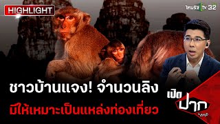 ชาวบ้านแจง! จำนวนลิง ควรมีให้เหมาะเป็นแหล่งท่องเที่ยว | เปิดปากกับภาคภูมิ