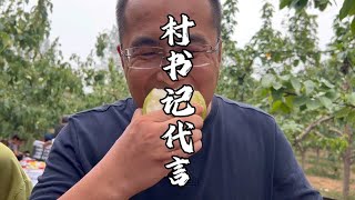 古县村支书代言本村玉露香梨。