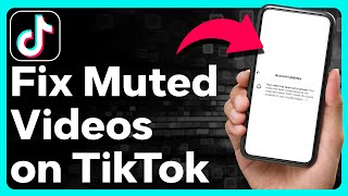 How To Fix Muted Video On TikTok