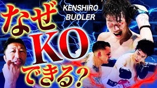 【拳四朗が倒せる理由】天心に足りないKOに必要な技術をブドラー戦から紐解く【寺地拳四朗vsブドラー内藤大助解説】