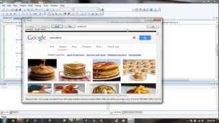 Simple Web Browser Tutorial - Visual C# 2008
