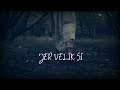 ivan puljić feat. Željko bebek velik si official lyric video