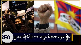 རྒྱ་ནག་གི་ངོ་རྒོལ་ལ་གདུང་སེམས་མཉམ་སྐྱེད། Solidarity protest against China Xi's