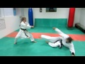 drobyshevskykaratesystem nijushiho bunkai kumite 1 osae uke hand grab defense