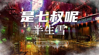 是七叔呢 - 半生雪「半生風雪 吹不散歲月留下的眼淚」【動態歌詞Lyrics/pinyinlyrics】