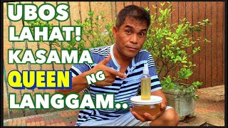 Paano Puksain Ang Mga Pesteng LANGGAM at Reyna sa Bahay. How To Get Rid of Ants \u0026 The QUEEN..