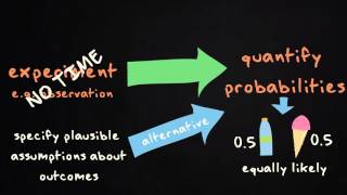 3.3 Sample space, event, probability and tree diagram | Basic Statistics | Probability | UvA