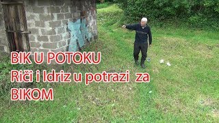 Rici i Idriz u potrazi za BIKOM (BIK u potoku)