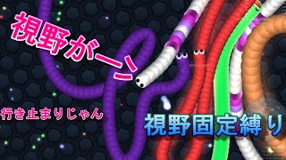 【縛り】固定ズームむずい【スリザリオ / slither.io】