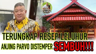 RAJA HERDER SENUSANTARA UNGKAP RESEP LELUHUR ANJING PARVO DISTEMPER JAMINAN SEMBUH!!!