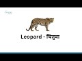 अंग्रेजीमा जान्नै पर्ने ५० जनावरहरू को नाम ll animals name ll english connect