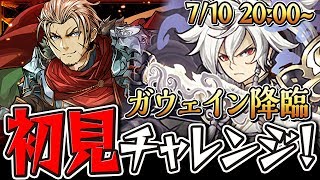 【生放送】ガウェイン降臨 トウヤで初見チャレンジ!!【ダックス】【パズドラ実況】