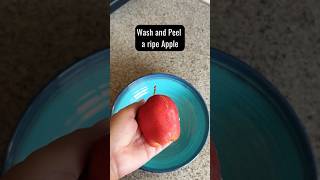 Easy Apple Puree for Babies | First Solid Food for 6+ Months