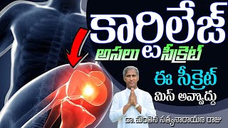 కీళ్లలో కార్టిలేజ్ అసలు సీక్రెట్!! | 7 Foods Help Rebuild Cartilage | Dr Manthena Satyanarayana Raju