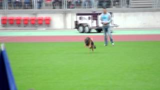 TSB - BSZS 2014 - 1027 Mentos v  Osterberger Land