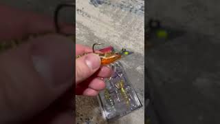 TRUSCEND Pre Rigged Crayfish Soft Lures Review, Look cool