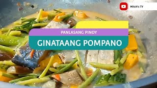 GINATAANG POMPANO|| MITCH'S TV