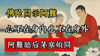 佛陀開示阿難：心不在身內，也不在身外！阿難聽後頓時茅塞頓開。#佛教 #佛家 #佛法 #佛學知識 #佛學智慧 #修心修行 #佛教文化 #禪悟人生 #傳統文化