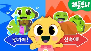 개굴개굴청개구리 | 신비 전래동화 | 엄마의 마지막 소원, 냇가에 묻는다 vs 산 속에 묻는다 | 내맘대로 선택하기 | 다른그림찾기게임 | 도깨비 전래동화 깹!