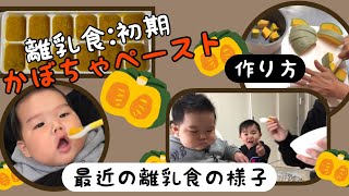 はじめてのかぼちゃ【離乳食初期】【生後5ヶ月】