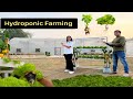 बिना मिट्टी हाइड्रोपोनिक खेती || Hydroponic Farming Economics || Vertical Farming || Hello Kisaan