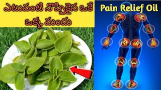 joint pain Remedies | చలికాలంలో వచ్చే మోకాళ్ళ నొప్పులు కీళ్ల నొప్పులు నడుము నొప్పులకి చక్కటి