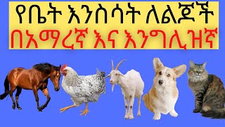 Ye Ethiopia Lijoch የቤት እንስሳት በአማረኛ እና በእንግሊዝኛ ለልጆች Home Animals in Amharic and English  የኢትዮጵያ ልጆች