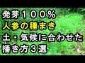 発芽100％人参の種まき自然農法 耕さない人参の簡単種まき　土の状態や気候に合わせた播き方３選　不耕起年数が浅い畑での対処法　自然農法　無農薬　不耕起