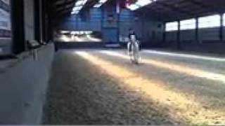 Concours dressage Jeneffe 1er mai 2011