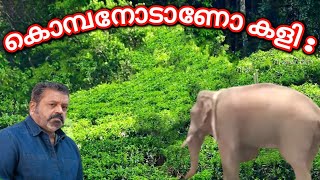 കൊമ്പനോട് മുട്ടാൻ വരണ്ട | അരികൊമ്പനെ കൊലയാളി ആക്കിയത് ചാനലുകാരോ? | അരികൊമ്പൻ ഇപ്പൊൾ എവിടെ ആണ് ?