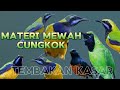 Masteran cungkok super gacor full isian mewah