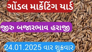 આજના જીરુ ના ભાવ | જીરુ ના ભાવ | જીરુ નો ભાવ jeera na bajar bhav | Gondal marketing yard 24-01-2025