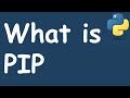 pip   The Python Package Installer