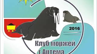 После ледяной стихии в Приморье 2021.02 / Моржи Артема