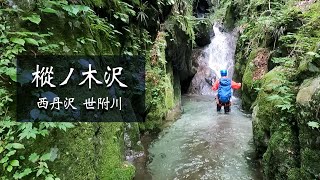 【西丹沢・沢登り】樅ノ木沢