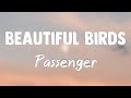 Beautiful Birds (Feat. Birdy) - Passenger(Lyrics Version)💘