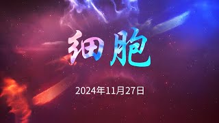 【到了2022年1月20号之后呢，我生命的性质就变了，祂那个性质就变成了纯光了，变成了究竟普照智慧，呈现出来纯光的灵性的这么一种形态了。】