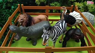 Приключения игрушек Новая серия. Пропажа животных из зоопарка