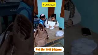 FLN mela | PM Shri GHS jhittarra | #fln #FLNMELA #schoolactivity #school