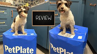 Picky Miniature Schnauzer Puppy Tries Pet Plate Fresh Food Delivery