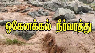 தருமபுரி ஒகேனக்கல் நீா்வரத்து Dharmapuri Hoganakkal water News  #hoganakkal #ஒகேனக்கல்