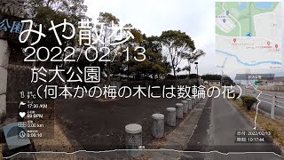 みや散歩 2022/02/13 於大公園（何本かの梅の木には数輪の花）